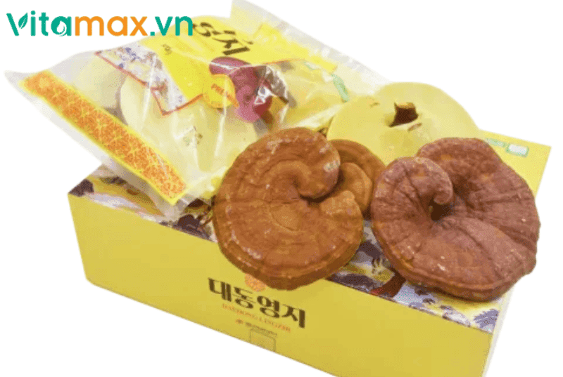 Đối Tượng Nào Không Nên Dùng Nấm Linh Chi và Cách Dùng Đúng?