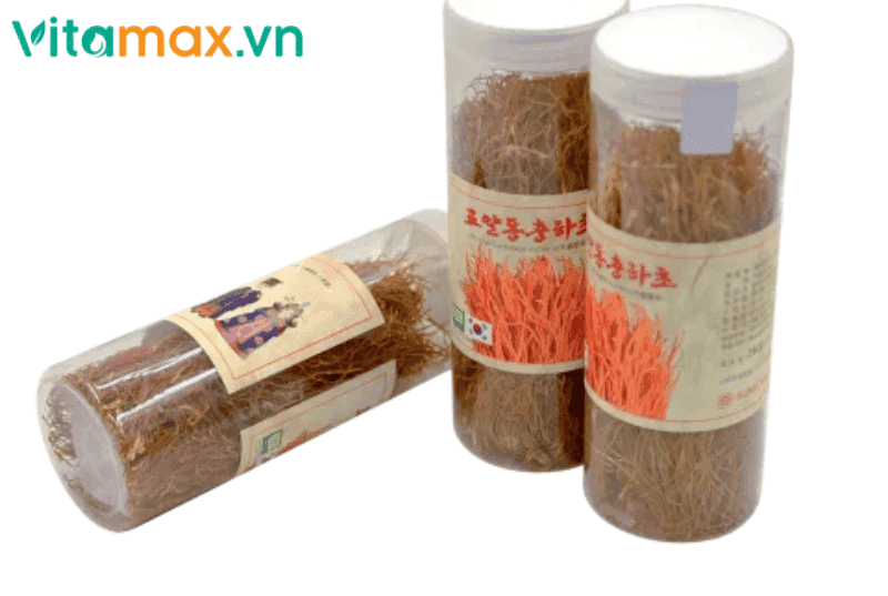 Dấu Hiệu Và Cách Xử Lý Đông Trùng Hạ Thảo Khô Bị Mốc