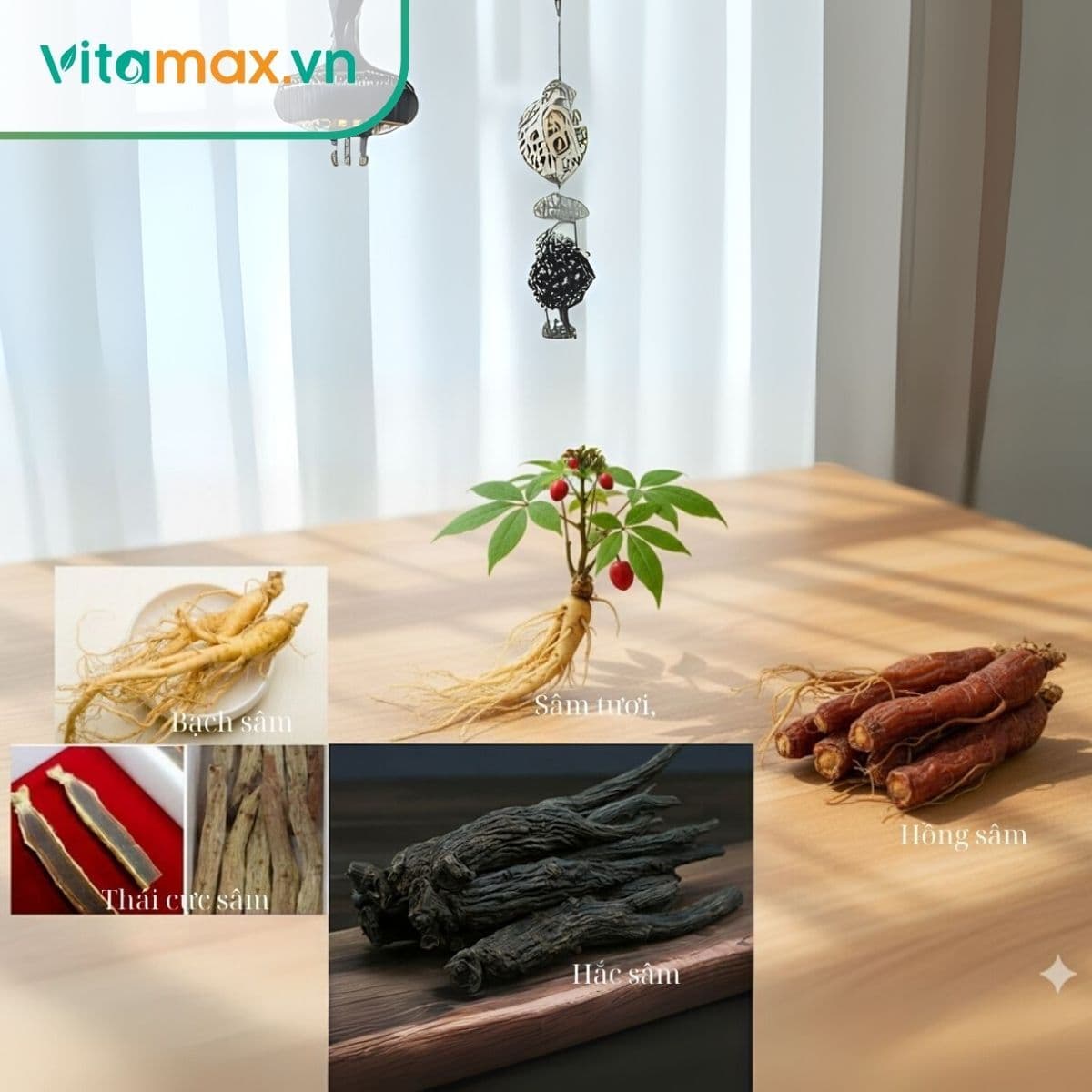 Các loại sâm Hàn Quốc phổ biến tại Việt Nam hiện nay