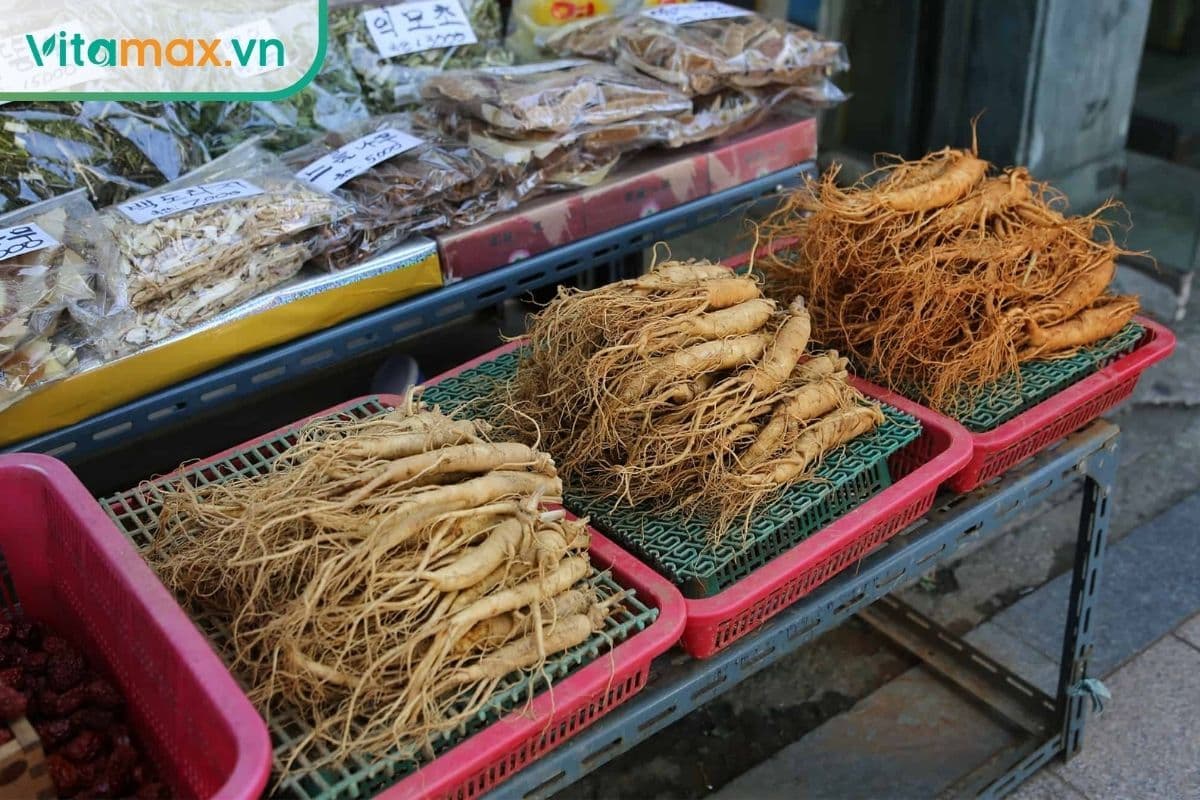 Giá sâm củ tươi hàn quốc 2 - 10 củ 1kg hiện nay