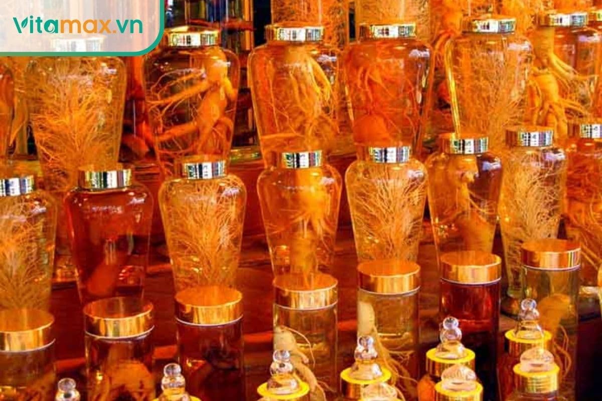 Bí quyết ngâm rượu sâm đúng cách, tốt cho sức khỏe