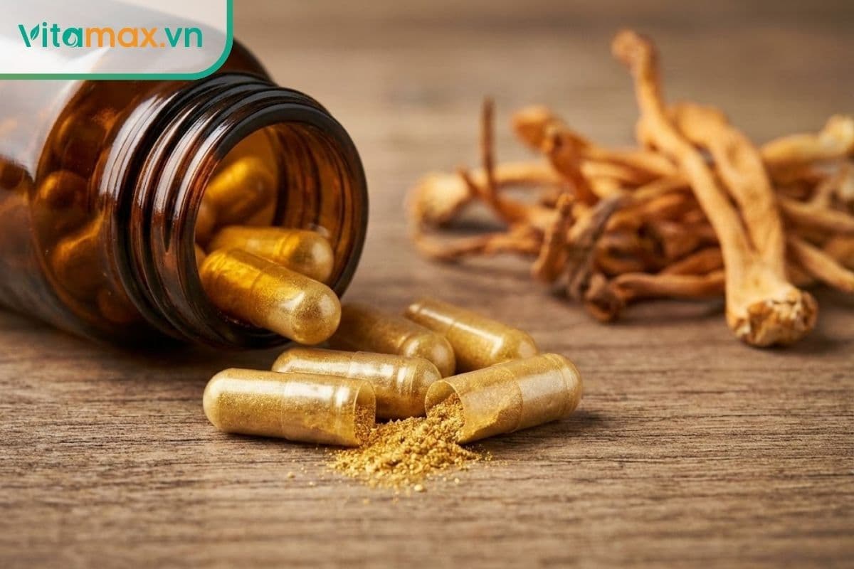 Cách sử dụng đông trùng hạ thảo dạng viên tăng cường sức khỏe