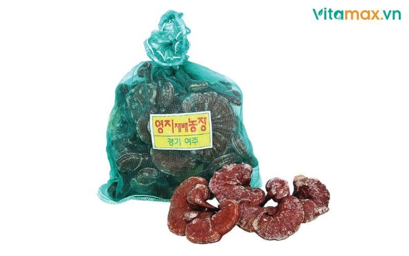 Linh chi Hàn Quốc loại nào tốt? Kinh nghiệm nấm chất lượng