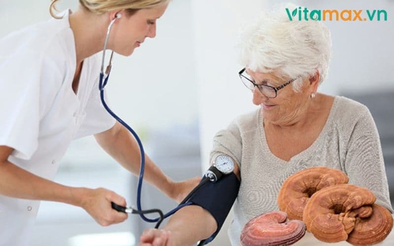 Nấm Linh Chi Chữa Cao Huyết Áp Được Không?