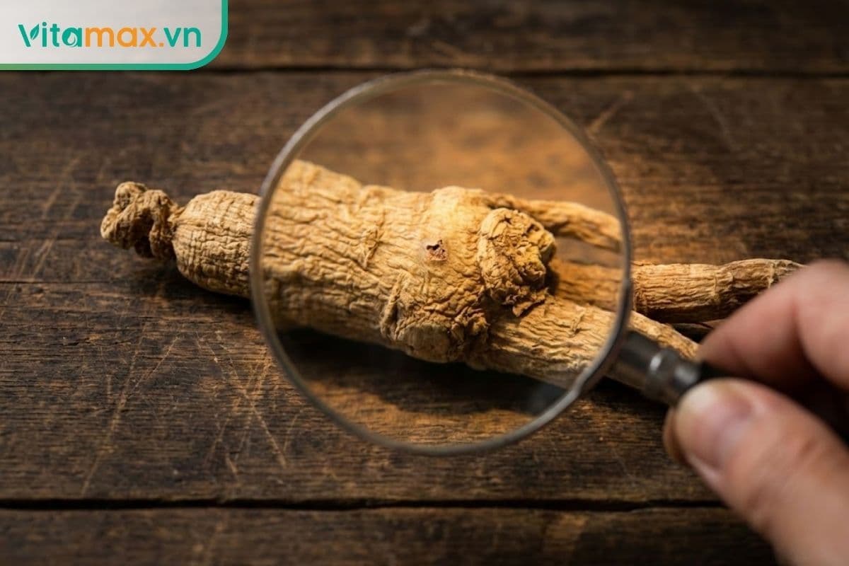 Nhân sâm bị mốc có dùng được không? Cách xử lý & tái sử dụng an toàn