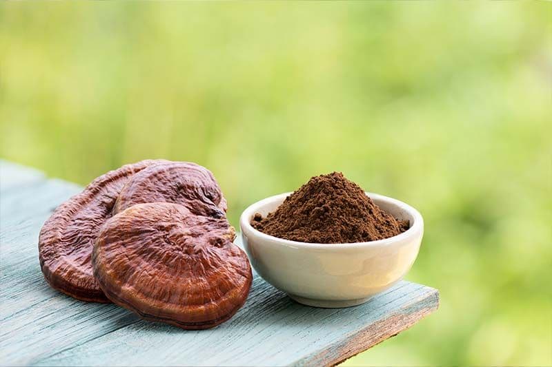 Những người không nên dùng nấm linh chi?