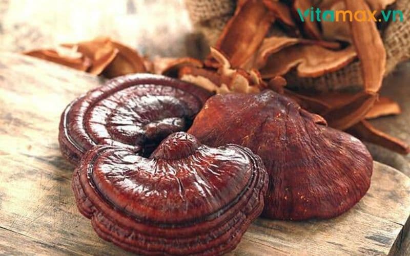 Những Người Không Nên Dùng Nấm Linh Chi: Ai Cần Đặc Biệt Lưu Ý?