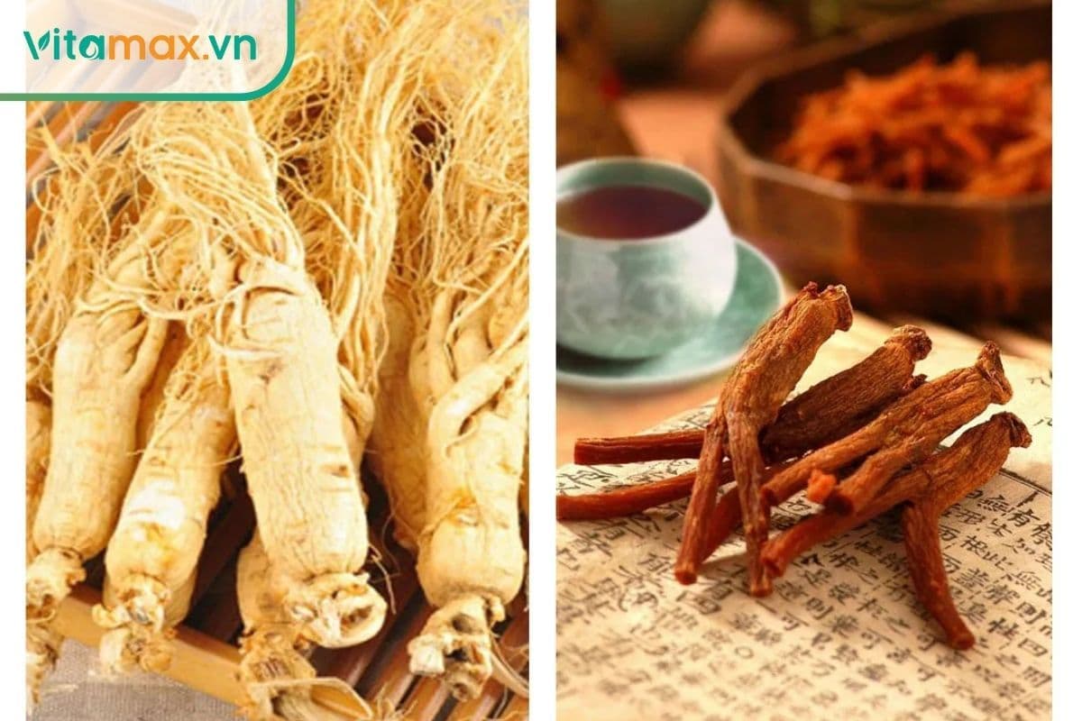 Nhân sâm và hồng sâm khác nhau thế nào? Cái nào tốt hơn?