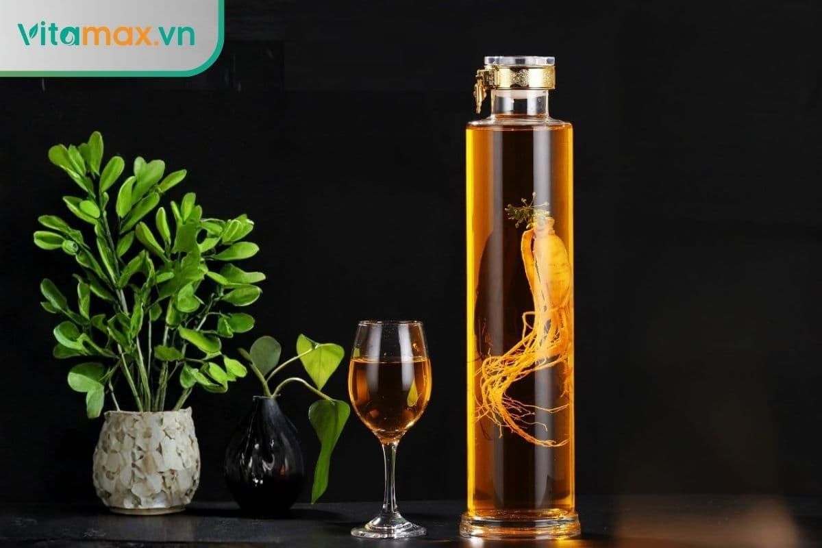 Ngâm rượu sâm tươi hay khô? Lợi ích của từng phương pháp