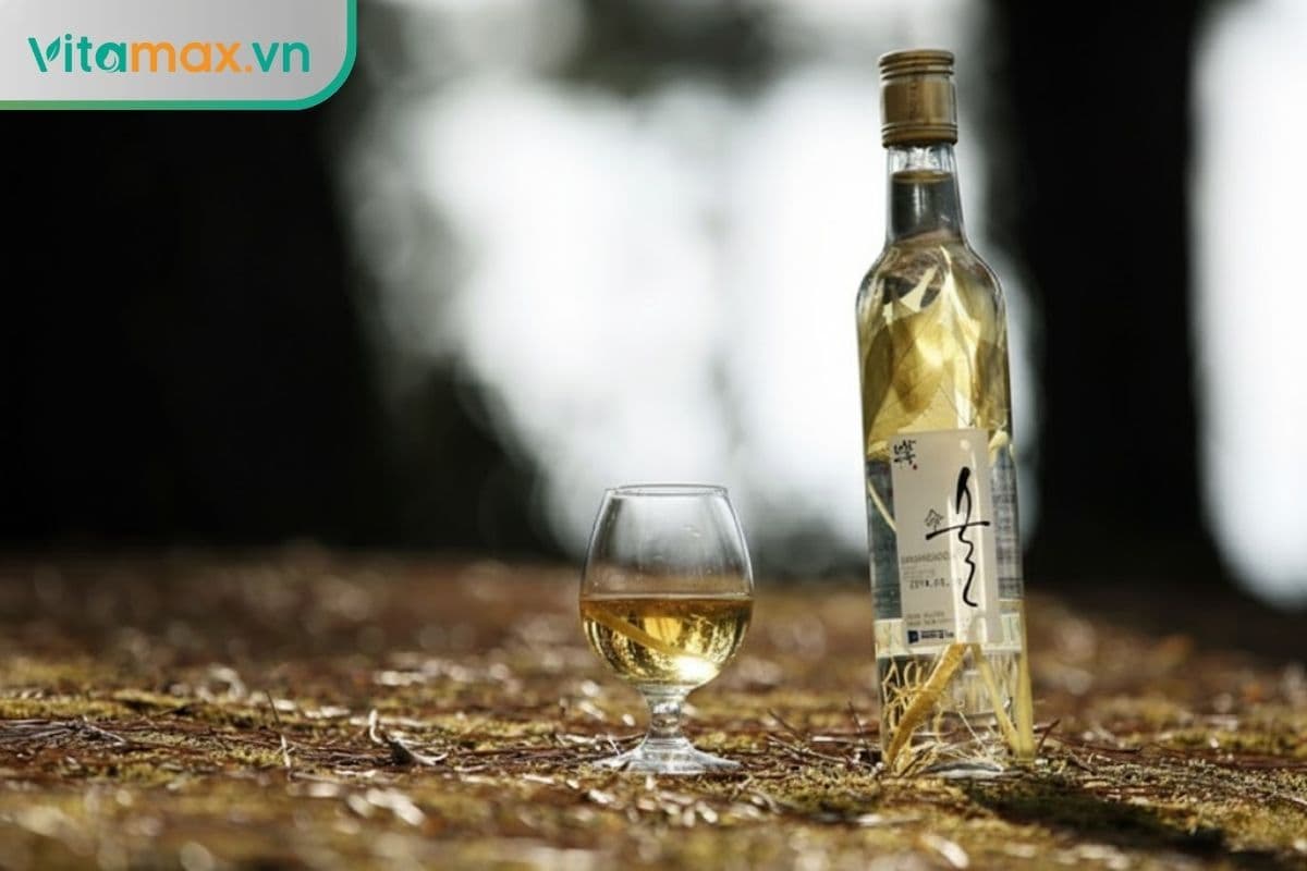 Uống rượu sâm hàn quốc có tác dụng gì với sức khỏe?