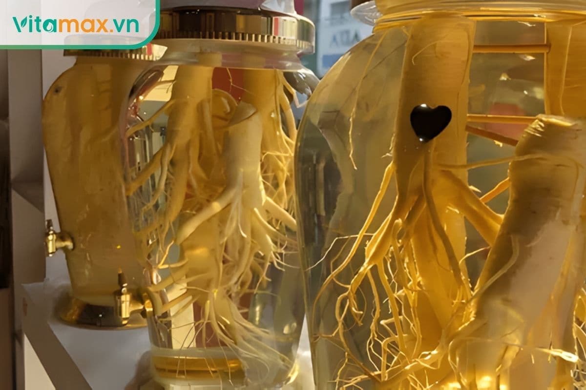 Bí kíp chọn sâm ngâm rượu để thơm, ngon & đậm màu