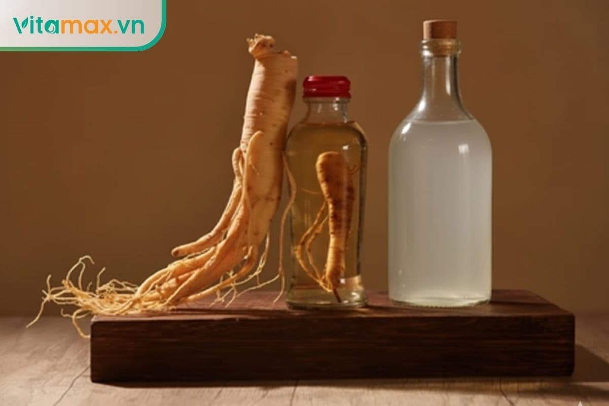 Bao nhiêu tuổi uống được rượu sâm & Liều lượng thế nào?