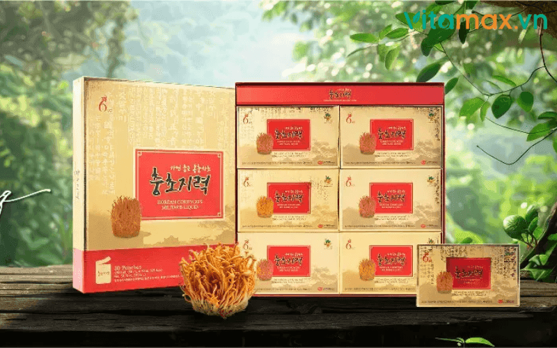 tác dụng của đông trùng hạ thảo với đàn ông