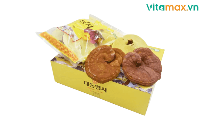 Tác Dụng Của Nấm Linh Chi Trong Giảm Cân Hiệu Quả