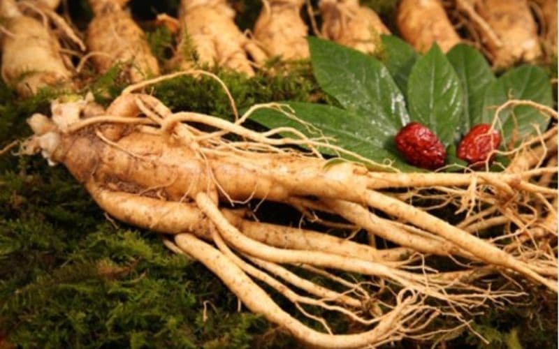 tác dụng của nhân sâm với da