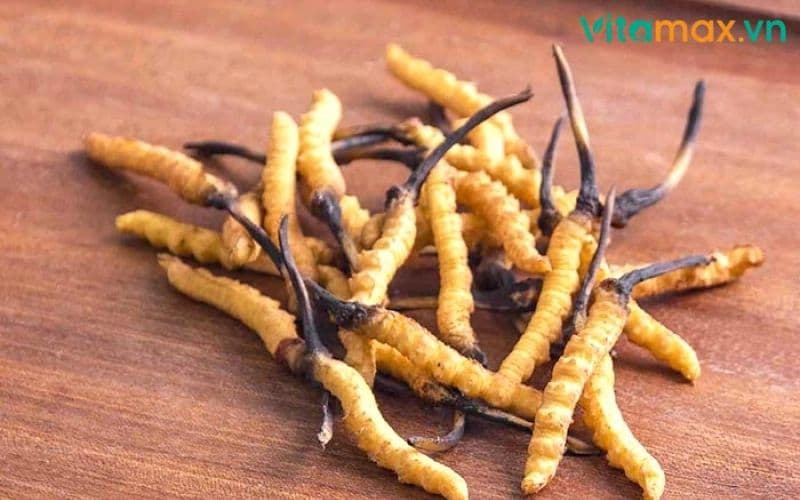Tác Dụng Phụ Của Nấm Đông Trùng Hạ Thảo Mà Bạn Cần Biết