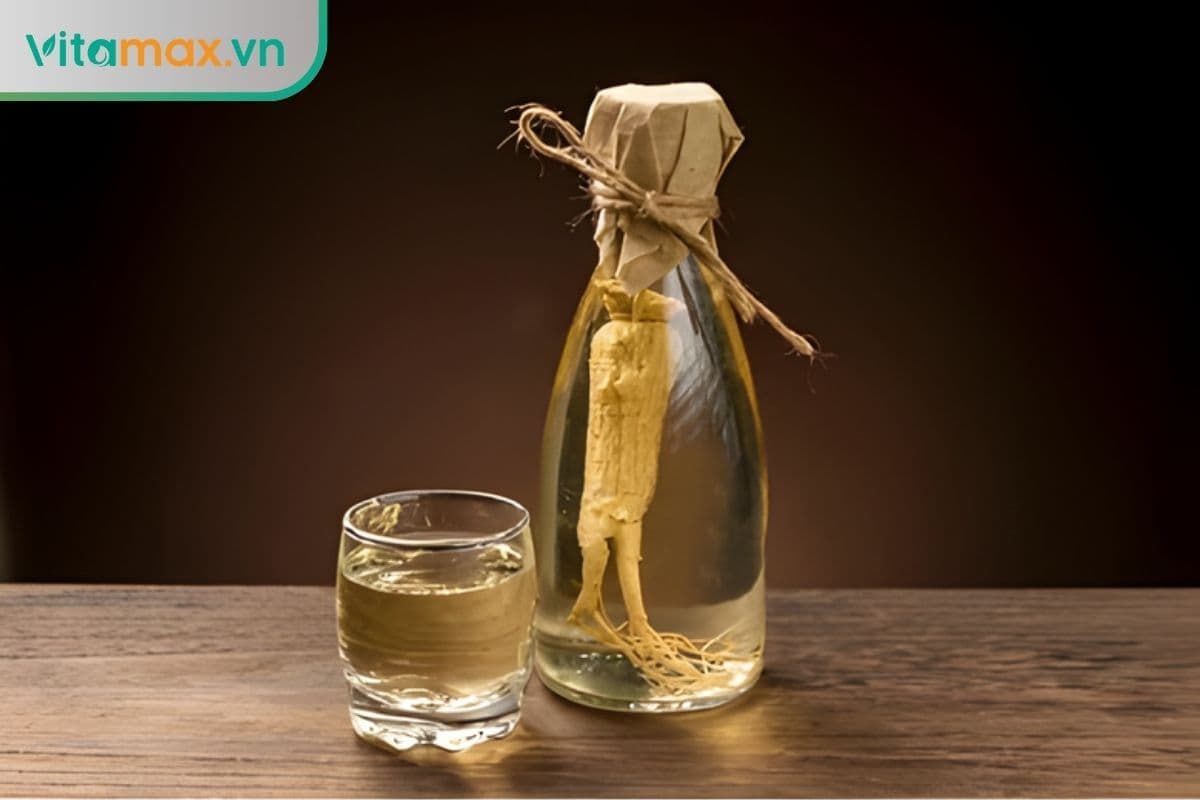 Đàn ông có nên uống rượu sâm không? Giải đáp theo Đông Y