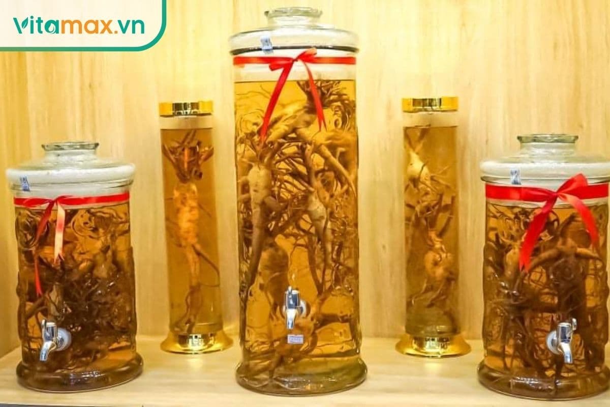 Rượu ngâm nhân sâm bao nhiêu độ để giữ trọn dưỡng chất