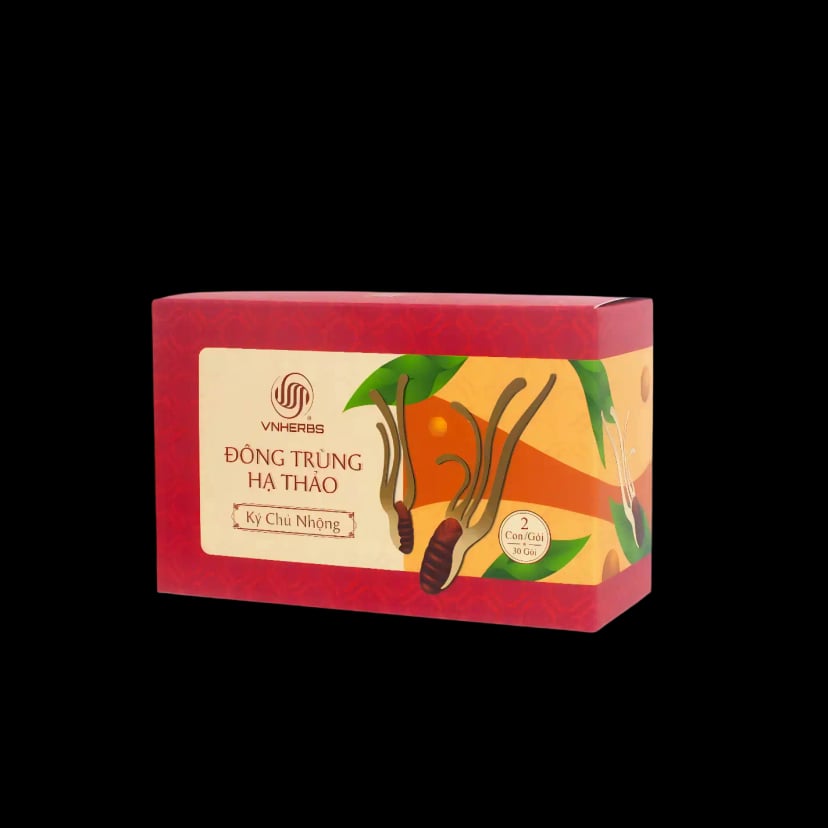 Hình Nấm Đông Trùng Hạ Thảo Sợi Khô Vnherbs hộp giấy 60 con - ký chủ nhộng 2