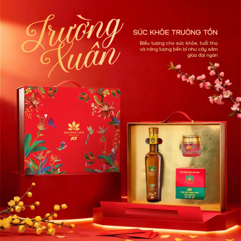 Hình Set Quà Tặng Sâm Ngọc Linh "Trường Xuân" 2