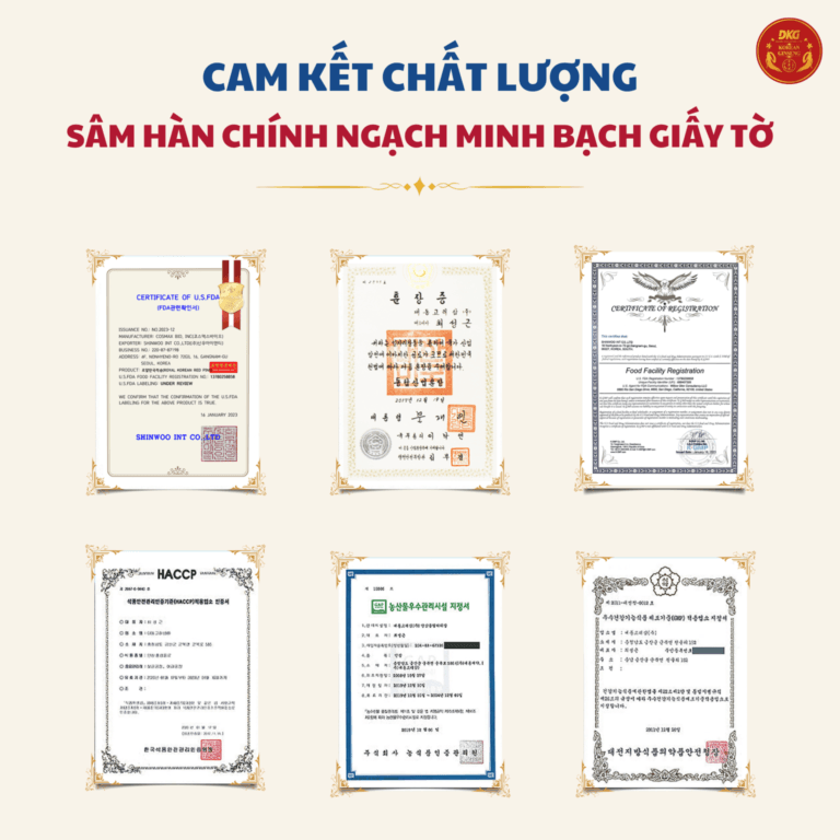 Hình Set Quà Tặng Daedong - DKG.04 3