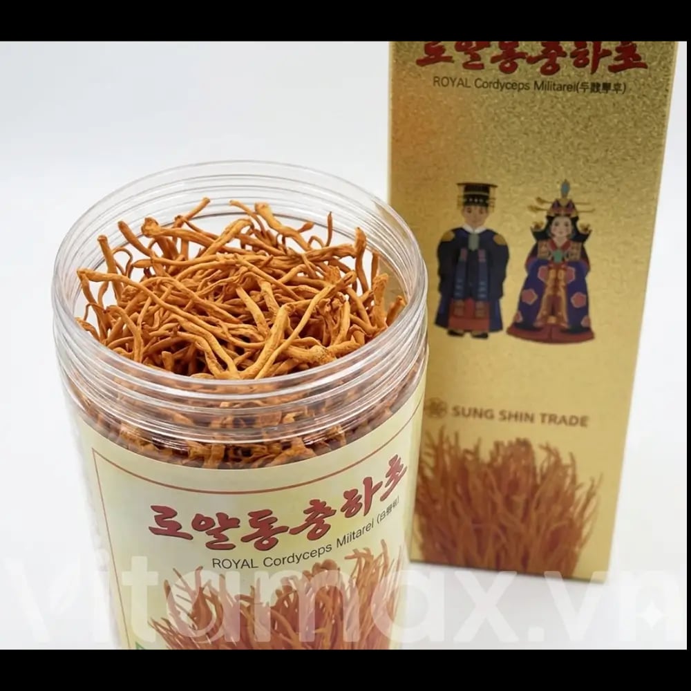 Hình Nấm đông trùng hạ thảo sấy khô Daedong Hàn Quốc 100g 5