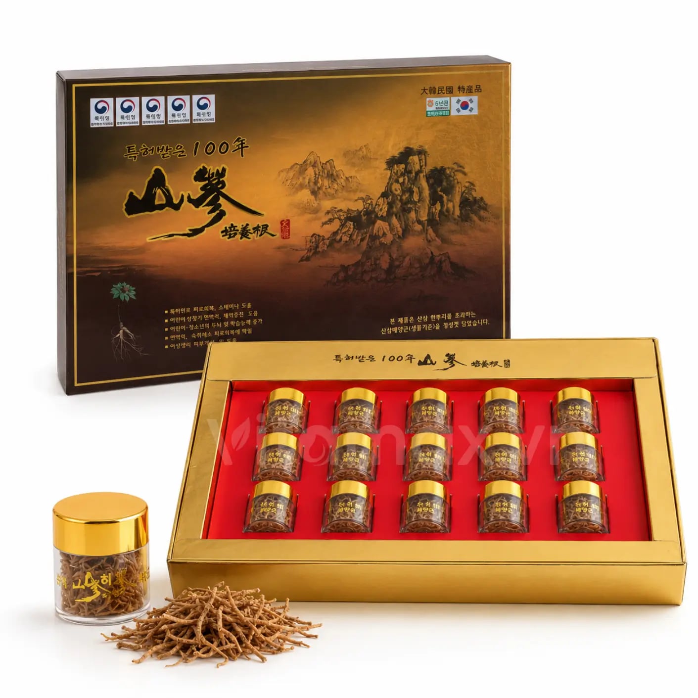 Hình Sâm Núi Jinsansam cao cấp hộp 15 rễ sâm 2