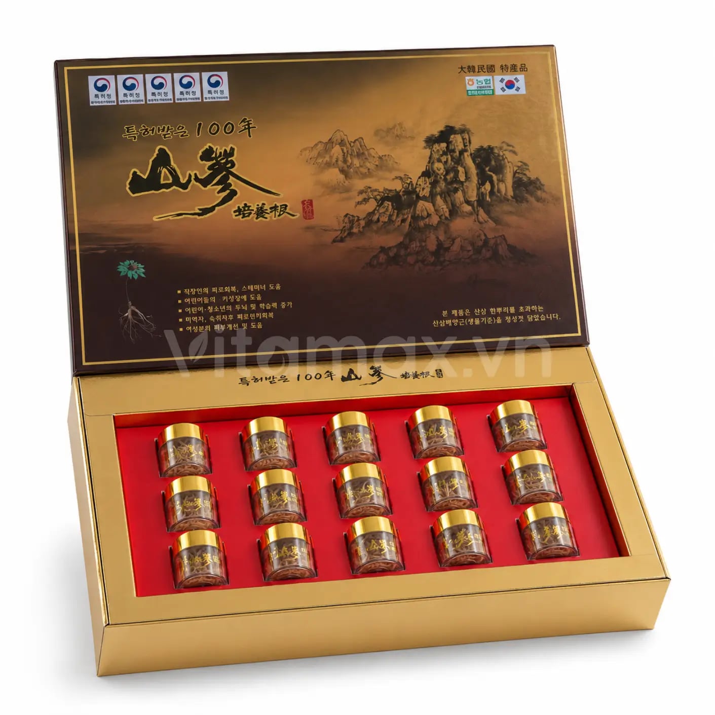 Hình Sâm Núi Jinsansam cao cấp hộp 15 rễ sâm 3