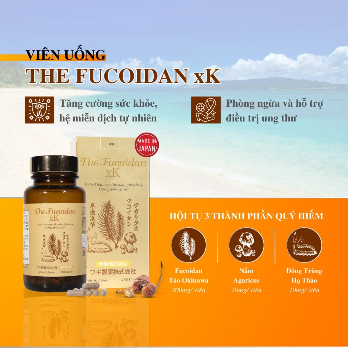 Hình Viên hỗ trợ điều trị ung thư The Fucoidan xK 180 viên 2