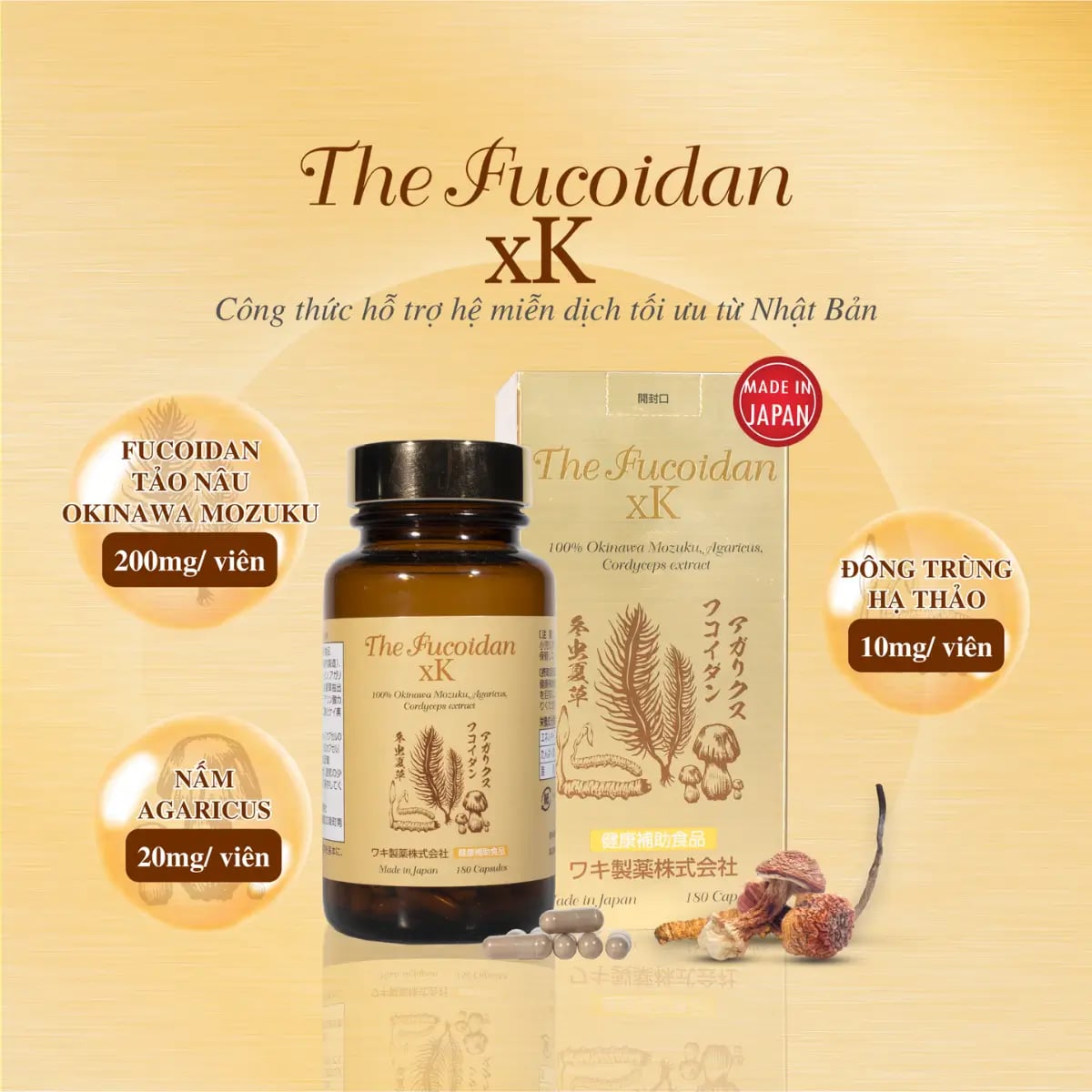 Hình Viên hỗ trợ điều trị ung thư The Fucoidan xK 180 viên 3