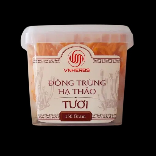 Nấm Đông Trùng Hạ Thảo Tươi Vnherbs hộp 150g
