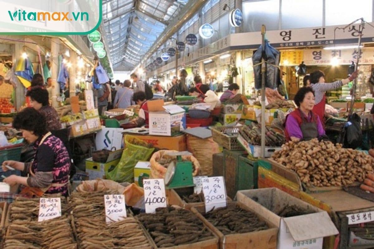Kinh nghiệm mua sâm tại Hàn Quốc của người buôn lâu năm