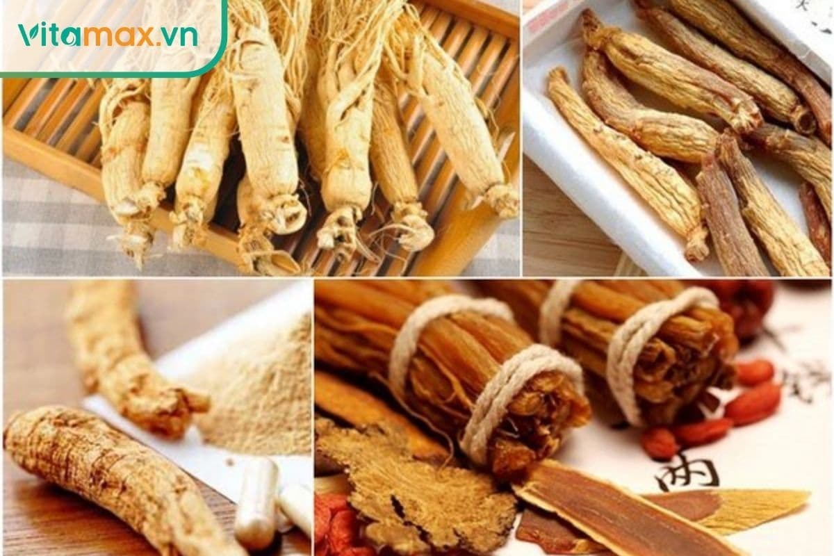 Hướng dẫn cách dùng nhân sâm khô trong Đông Y