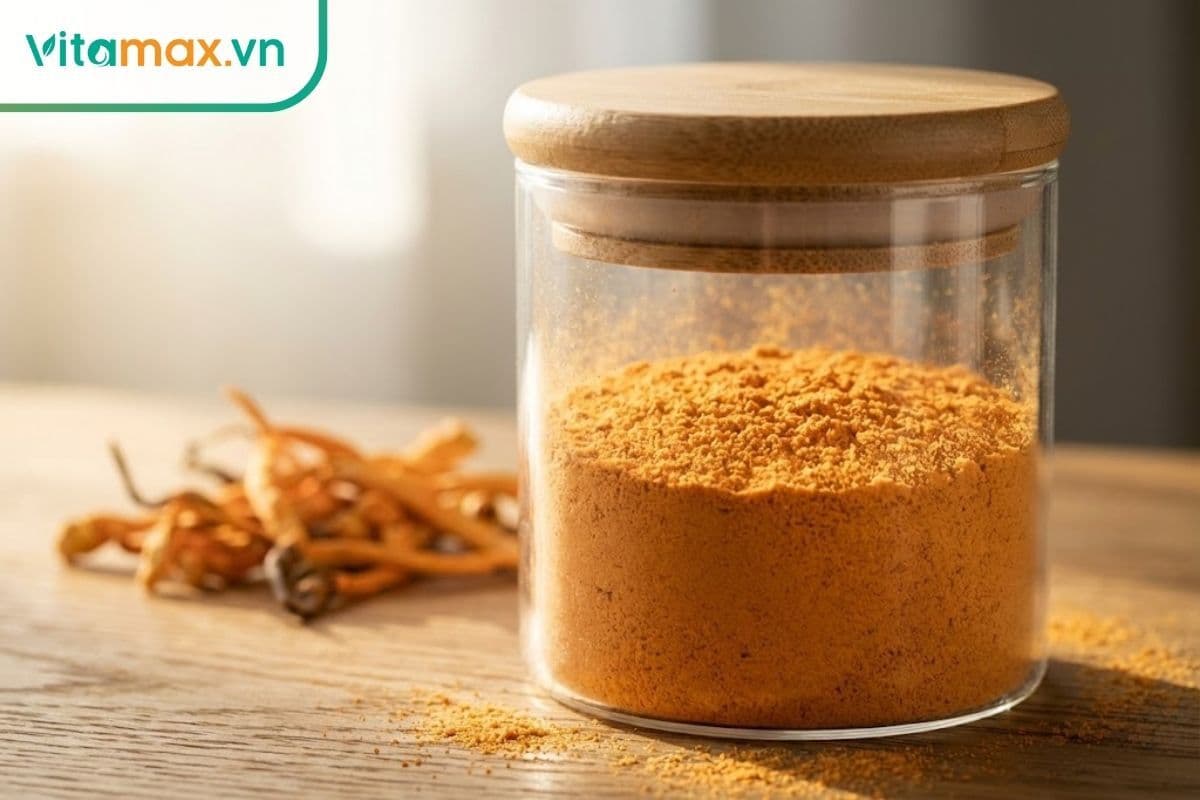 Đông trùng hạ thảo dạng bột: Công dụng & cách sử dụng đúng