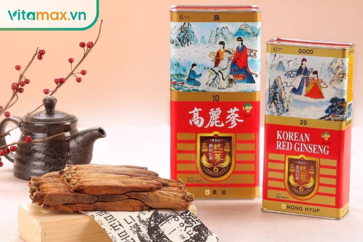 Cách dùng thiên sâm Hàn Quốc an toàn & đạt hiệu quả cao