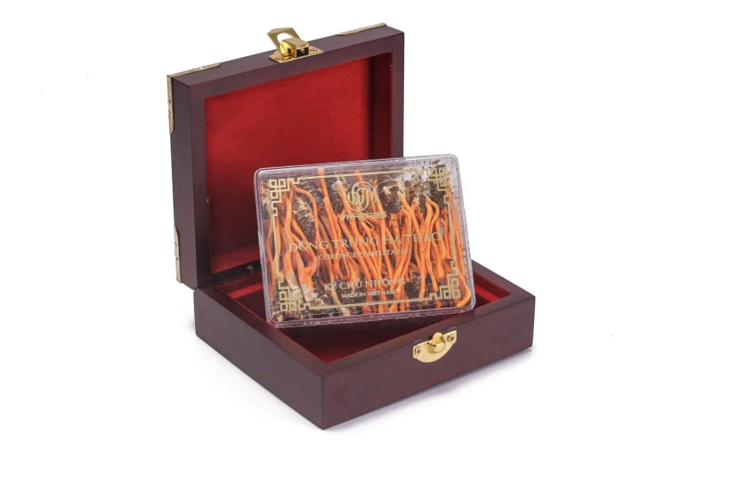 Hình Đông trùng hạ thảo khô hộp gỗ Vnherbs ký chủ nhộng 1