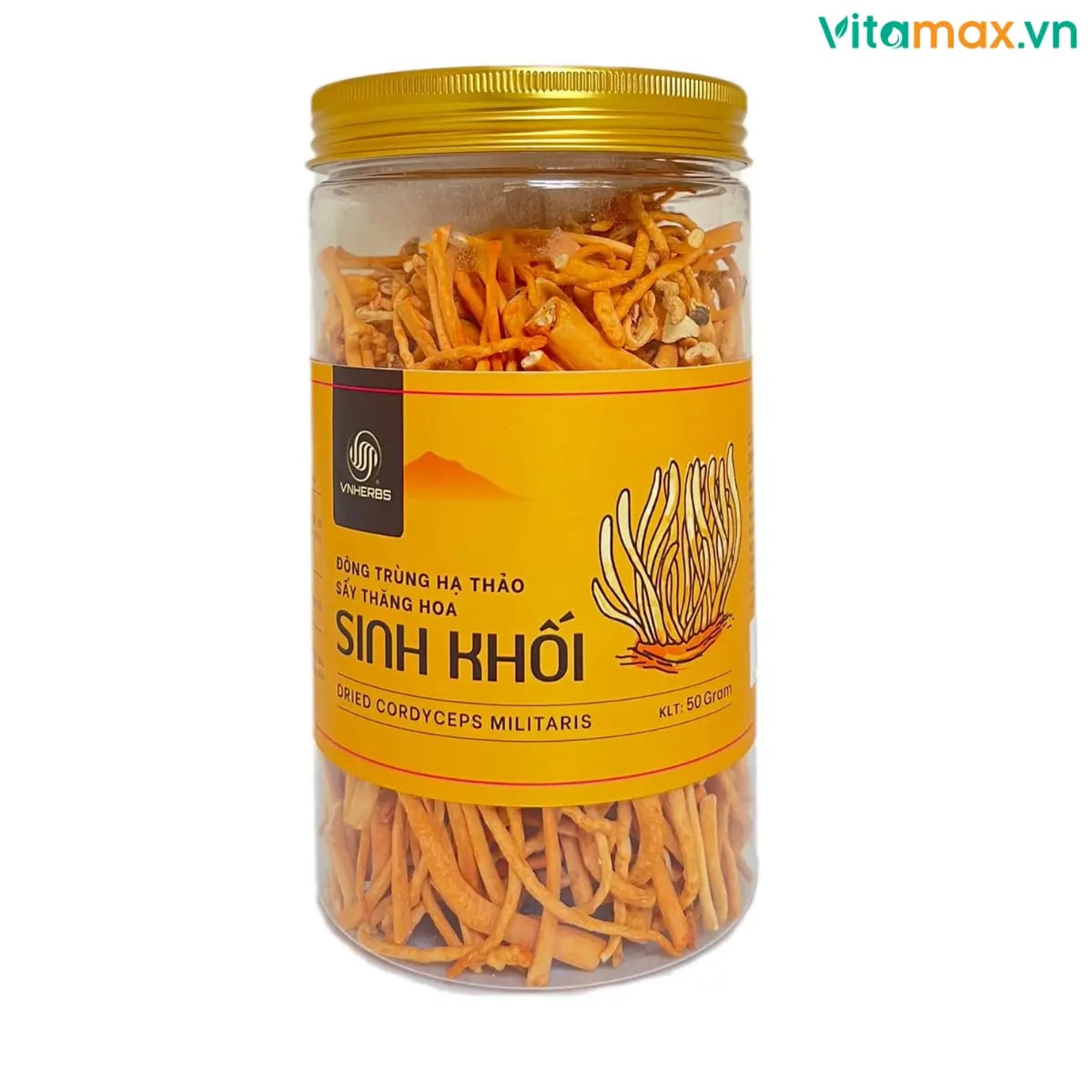 Hình Đông trùng hạ thảo sấy thăng hoa Vnherbs lọ 50g - loại 2 3