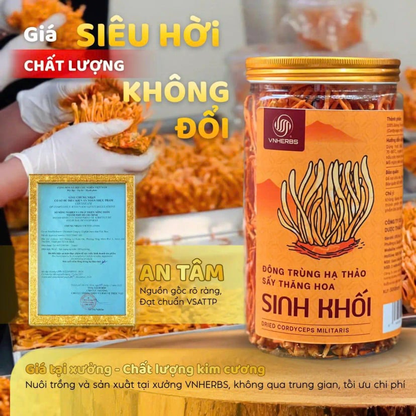 Hình Đông trùng hạ thảo sấy thăng hoa Vnherbs lọ 50g - loại 2 5