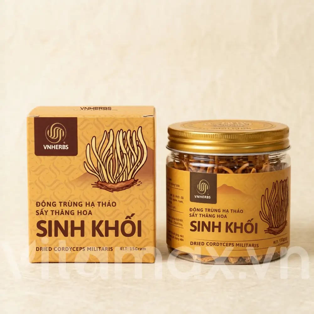 Hình Đông trùng hạ thảo khô sấy thăng hoa Vnherbs 15g 5