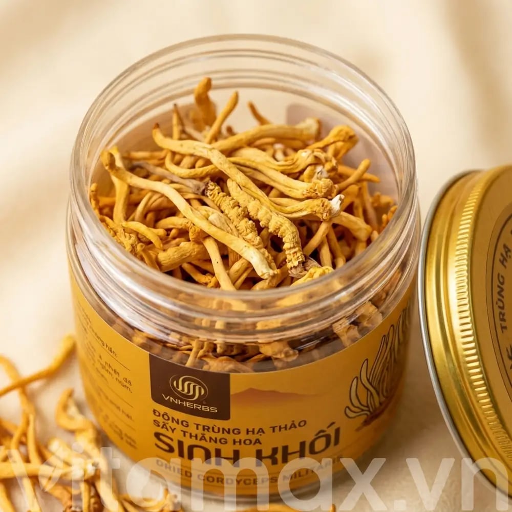 Hình Đông trùng hạ thảo khô sấy thăng hoa Vnherbs 15g 6