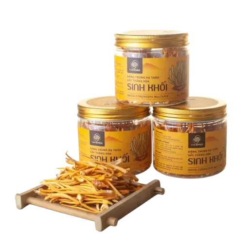 Đông trùng hạ thảo khô sấy thăng hoa Vnherbs 15g