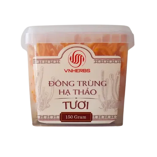 Nấm Đông Trùng Hạ Thảo Tươi Vnherbs hộp 150g
