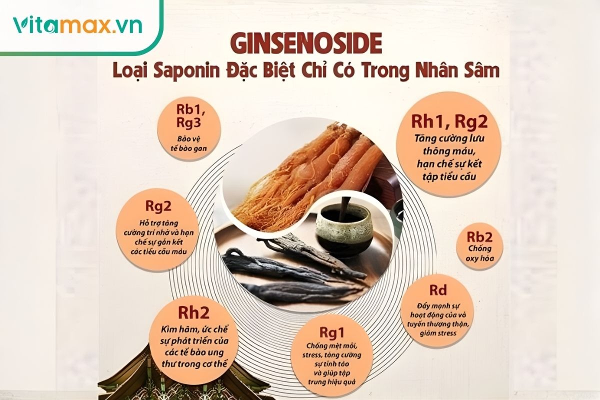 giá trị dinh dưỡng của hồng sâm Hàn Quốc cho bé
