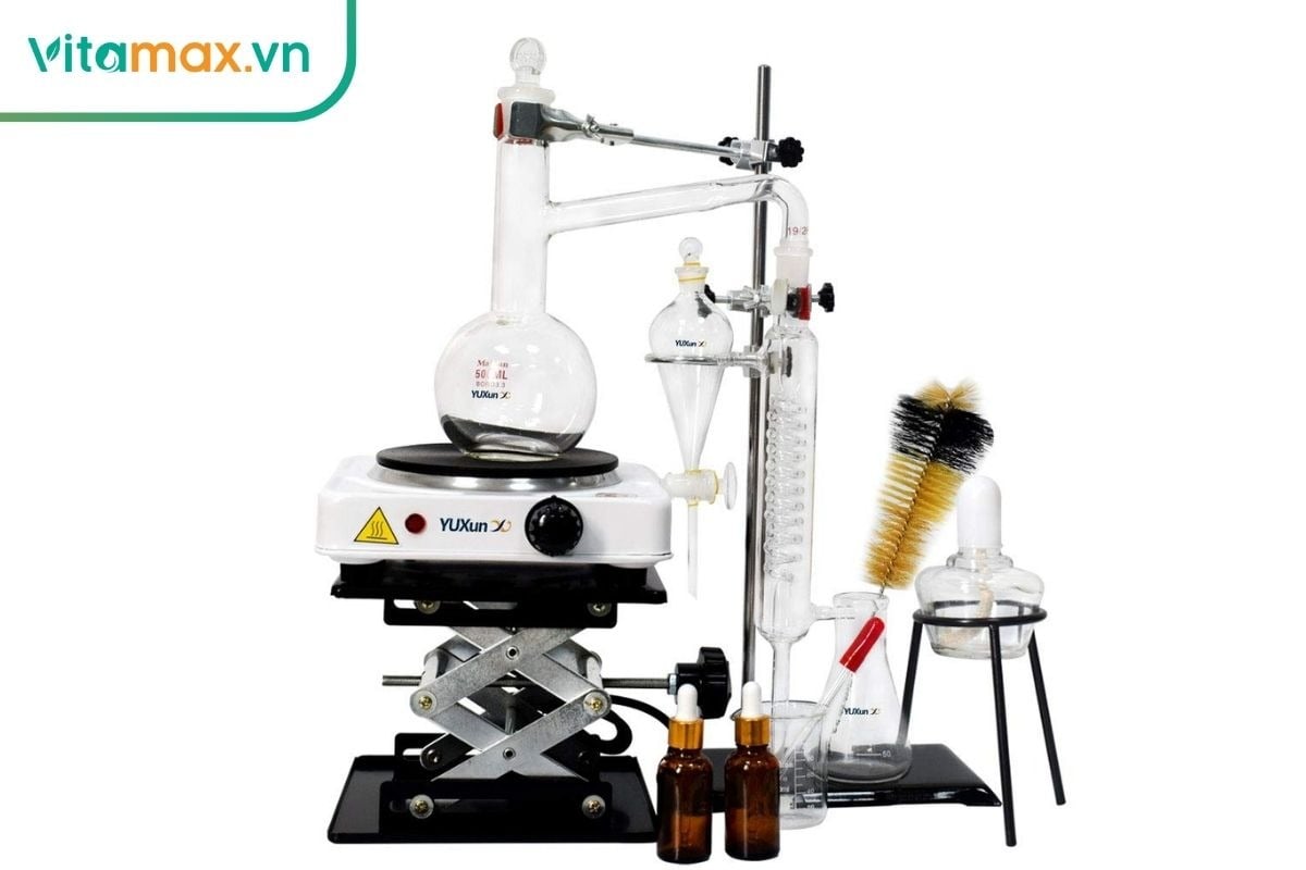 Quy trình chưng cất hơi nước tinh dầu thông đỏ tại Hàn Quốc