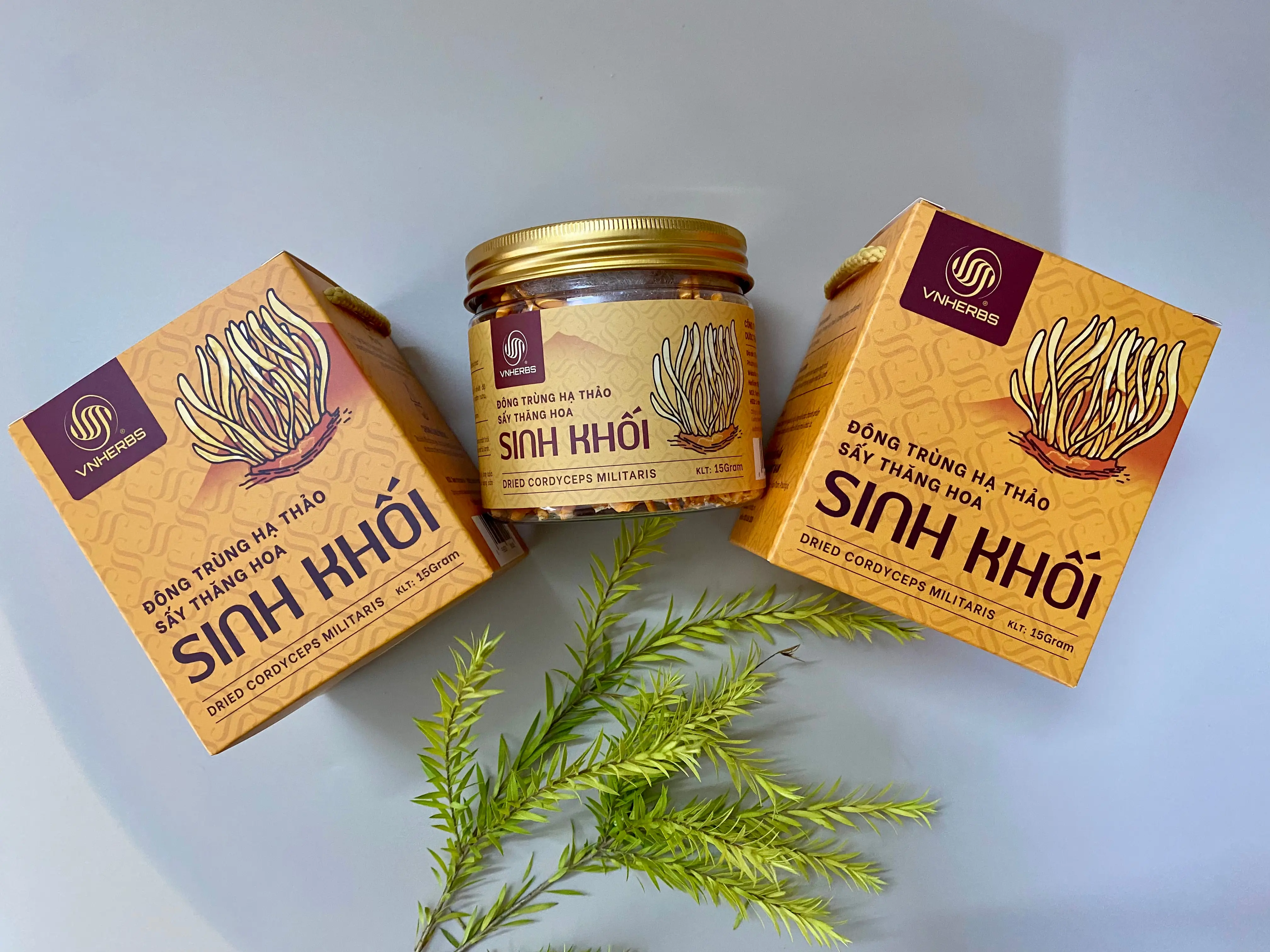 Hình ảnh thực tế của sản phẩm - Hình ảnh chụp tại cửa hàng Vitamax