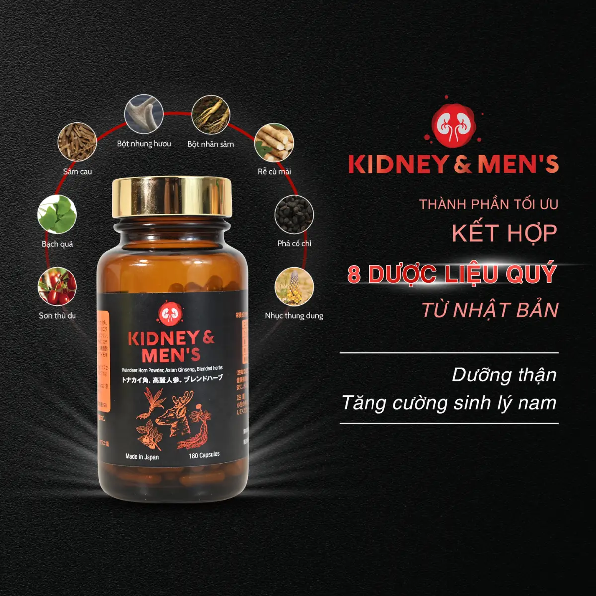 Viên uống Kidney Mens - Giải pháp sinh lý nam