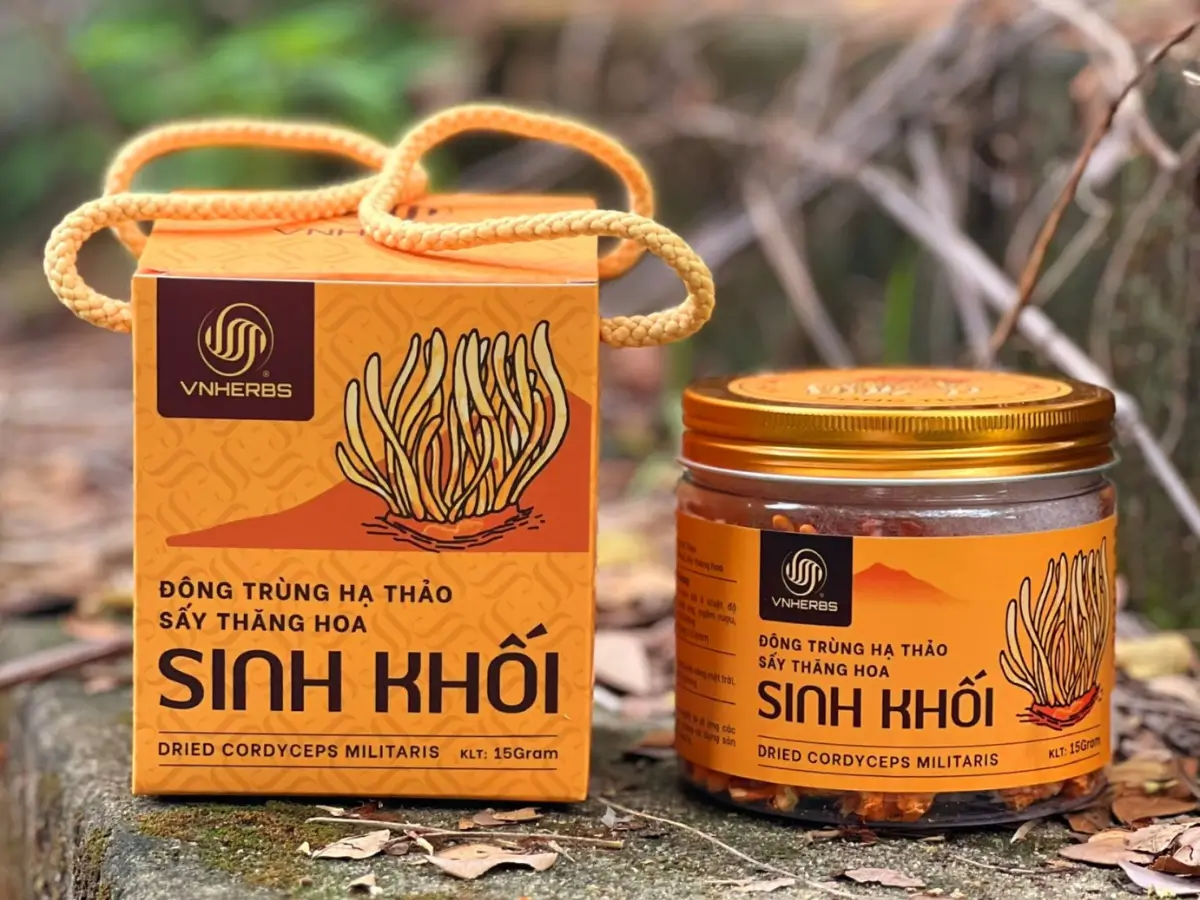 Đông trùng hạ thảo nguyên chất sấy thăng hoa Vnherbs hộp 15g