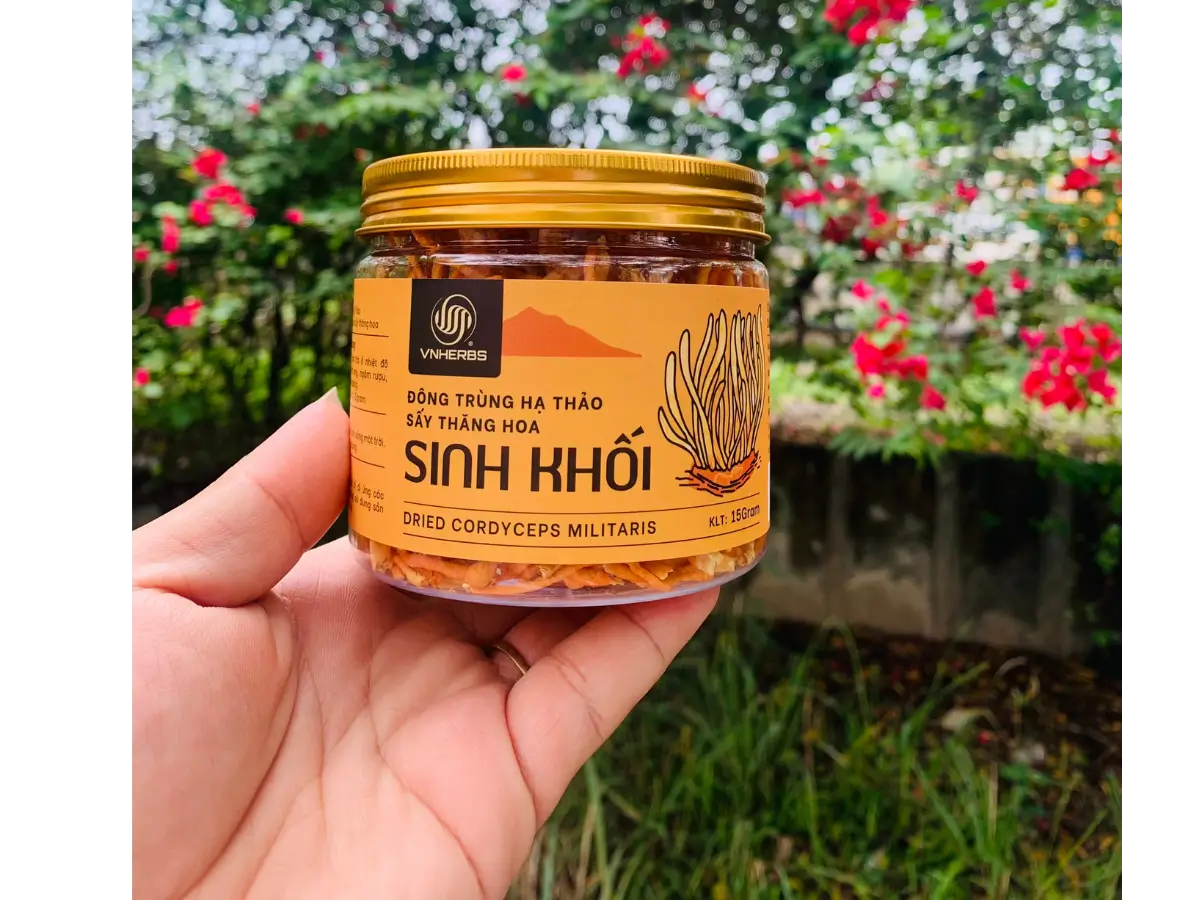 Đông trùng hạ thảo là liều thuốc quý từ thiên nhiên cho sức khoẻ