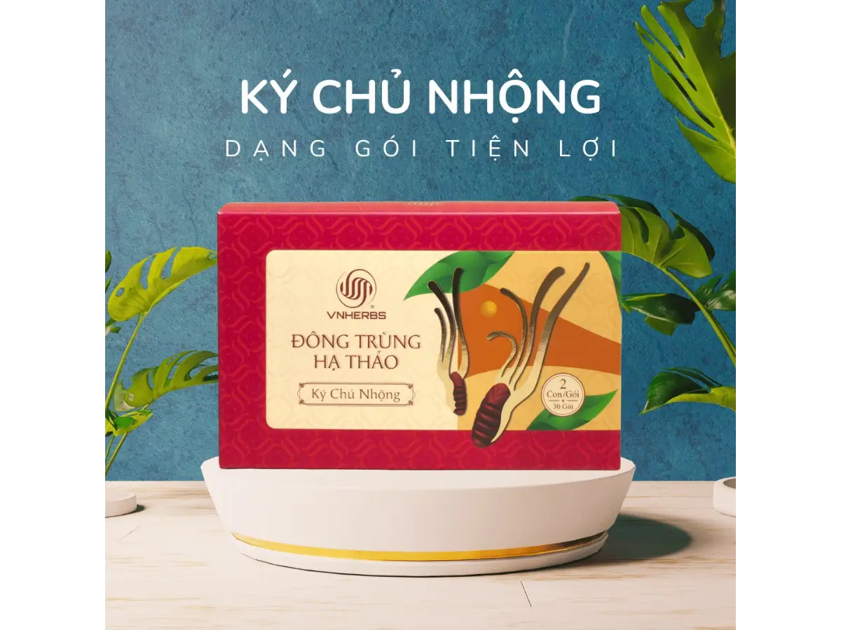 Đông trùng hạ thảo ký chủ nhộng dạng hộp giấy tiện lợi