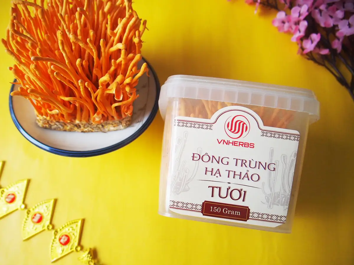 Đông trùng hạ thảo sinh khối tươi Vnherbs hộp 150g